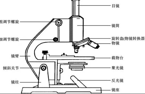 高德显微镜的基本光学原理和成像的系统