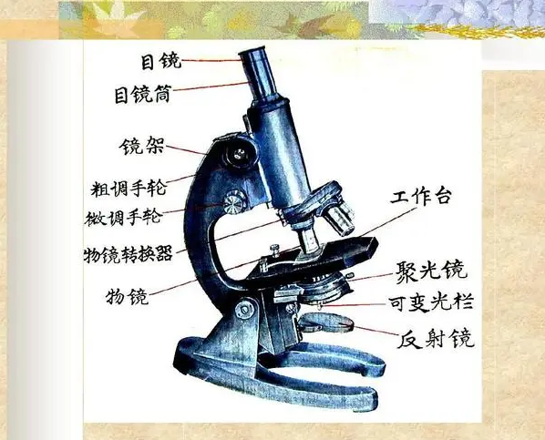 高德电子显微镜的历史及构造使用说明