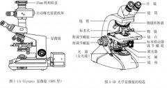 <strong>光学显微镜的组成部分高德</strong>