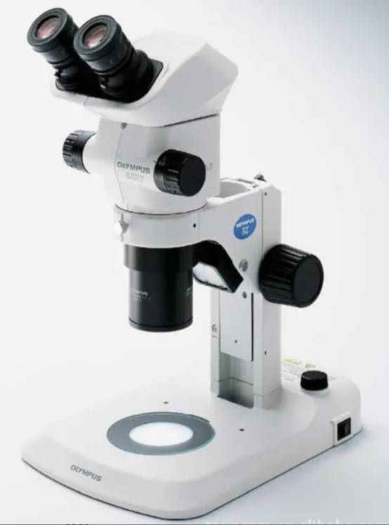 高德注册体视显微镜光学仪器的“头”
