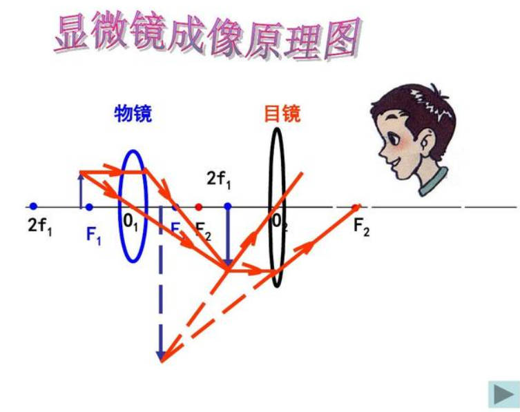 显微镜的成像原理高德注册